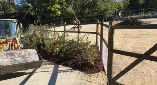 Weidezaun Fuer Tierhaltung 4 2 9315 Neukirch