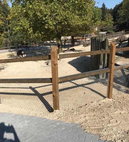 Weidezaun Fuer Tierhaltung 1 1 8253 Diessenhofen