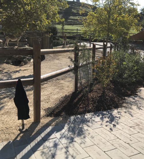 Weidezaun Fuer Tierhaltung 2 1 8582 Dozwil
