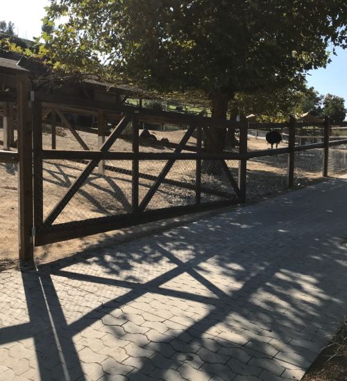 Weidezaun Fuer Tierhaltung 3 1 8253 Diessenhofen
