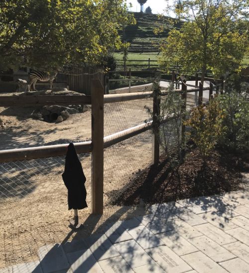 Weidezaun Fuer Tierhaltung 5 1 8253 Diessenhofen